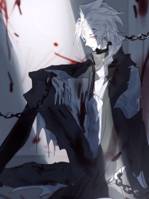 雏鸟pro下载